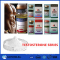 Enanthate de testostérone Poudre de stéroïdes / Test Enanthate Injectable Liquid